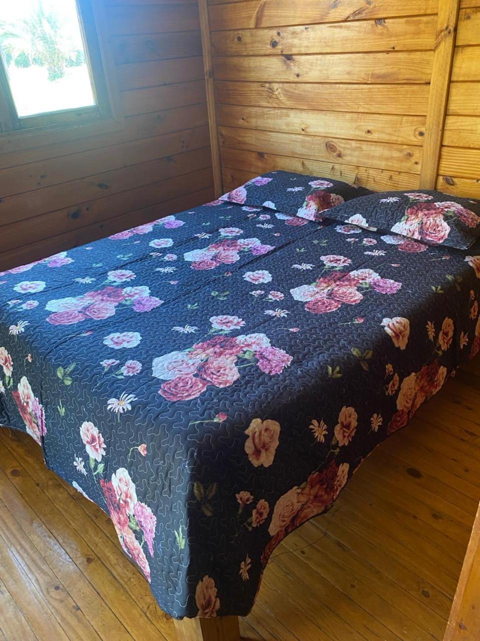 Cabanas Mantaguita Ritoque Eksteriør billede